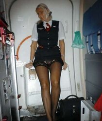 Flight attendant - hotesse de l air