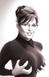 Sarah Palin Fakes