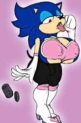 Sonic The Hedgehog - Herm