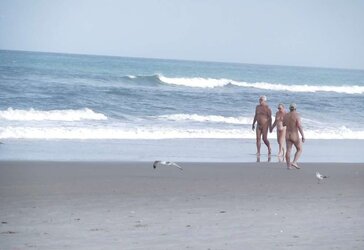 The beach ,the birds and a few nudes