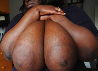 Large Tits