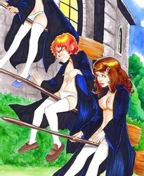 Harry and Hermione (Havoc at Hogwarts!)