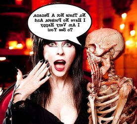Elvira Fakes etc.