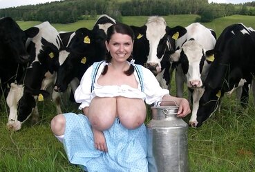 Milk,milk,milk!!!( Udders Prepped For Milking)