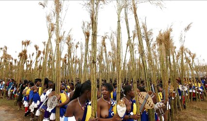 Yearly reed-dance in Swaziland