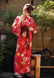 Kimono-02 tiny jugs and giant nips