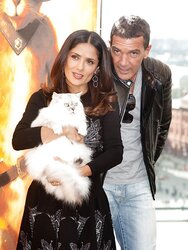 Salma Hayek with a cat and Antonio Banderas in Moscow.