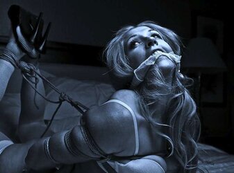 DOMINATION & SUBMISSION IN DARK-HUED
