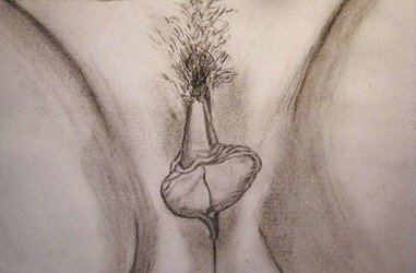 my porn drawing