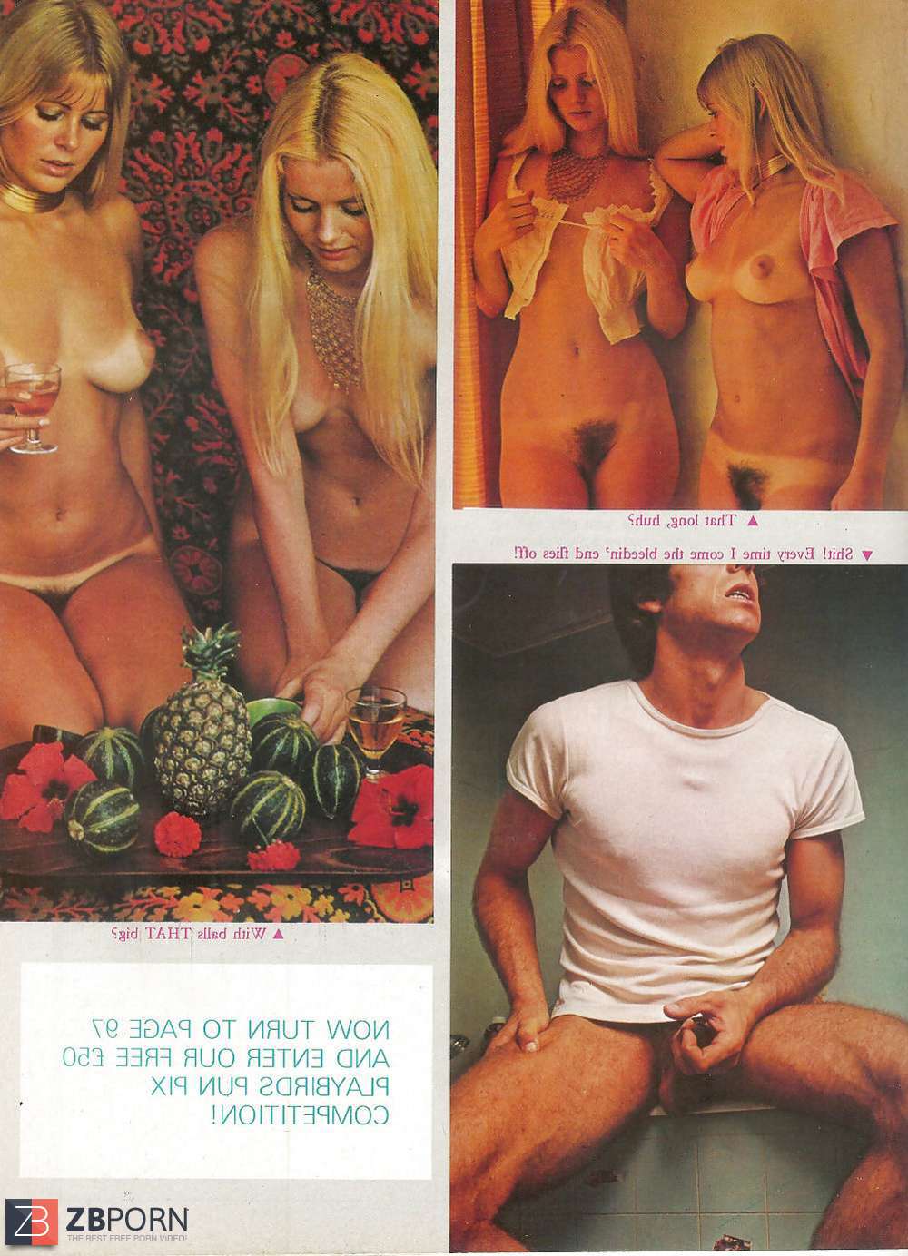 Playbirds Magazine 70s Zb Porn