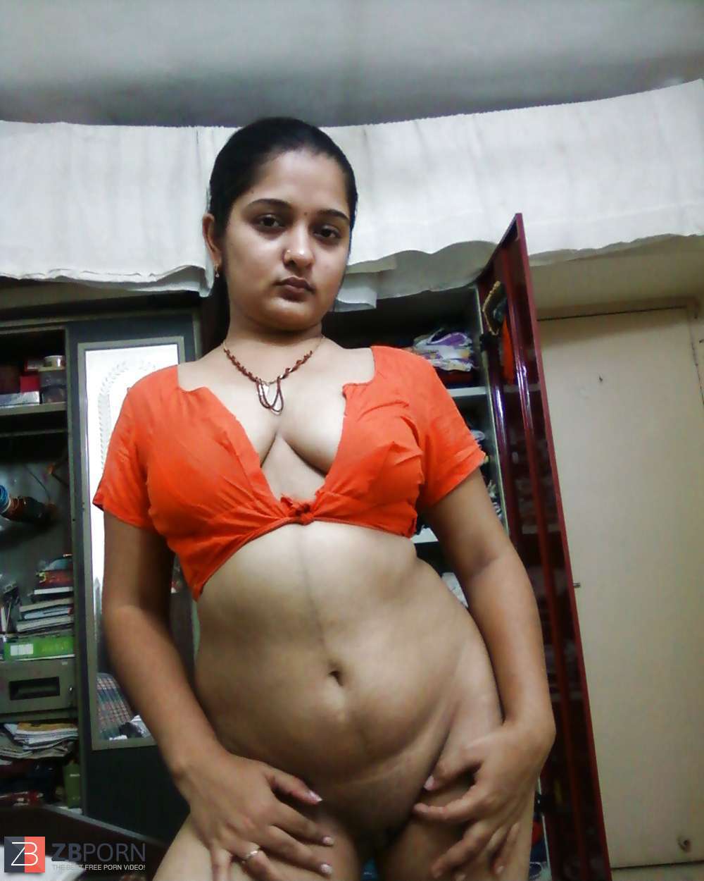 Indian Aunty Mix Up Zb Porn